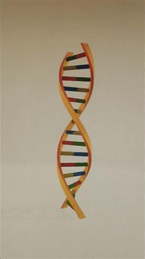 DNA 3D Model #dna