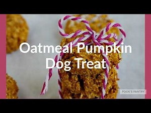 How to Make Oatmeal Pumpkin Dog treat
