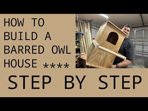 How to Build a Barred Owl House Step-by-Step