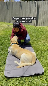 25K views · 66 reactions | This travel mat folds small, stays tough, and keeps your dog comfy no matter where the day takes you. It’s a must for dog parents. | K9 Ballistics Dog Beds | Facebook