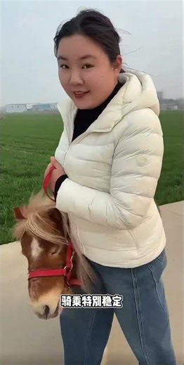 Scenic Shetland Pony Ride: Family-Friendly, Wedding-Perfect Equestrian Delight