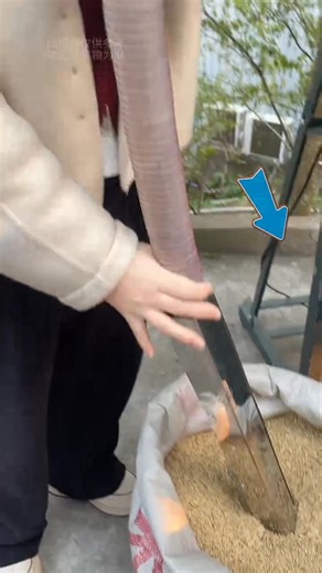 2025 New Type Rice Milling Machine: Effortless Feeding, Rice | Kiran Thakor