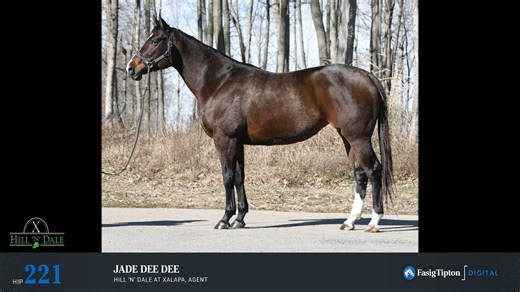 FTOFEB26_221_Jade Dee Dee