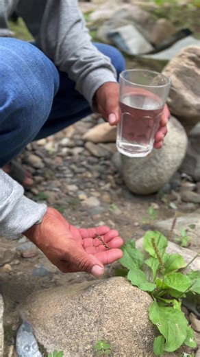 Videos de Agrichac (@agrichac) con “sonido original - Agrichac”