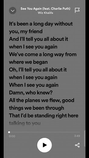 When I See You Again - Song Lyrics and Spotify Lyrics Video
