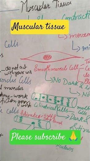 Muscular Tissue | Structure, Types & Functions | Class 9 Biology | NCERT Tissues Chapter
