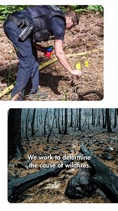 Through May 2025, CAL FIRE law enforcement has made numerous arson arrests.  If you see suspicious activity, don’t wait—report it! You can stay anonymous by calling our 24/7 arson hotline: 1-800-468-4408 #CALFIRE #ArsonHotline #StopArson #ArsonInvestigation #ProtectCalifornia | CAL FIRE Madera-Mariposa-Merced | Facebook