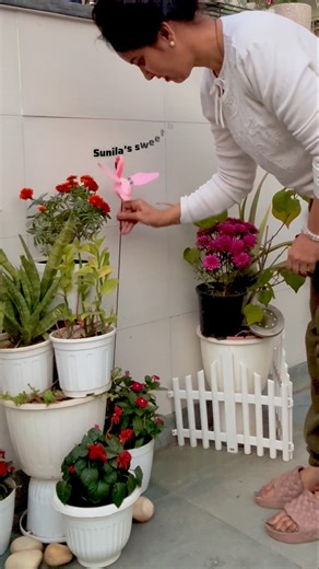 DIY entryway decor with Plants #creativegardening #easyides