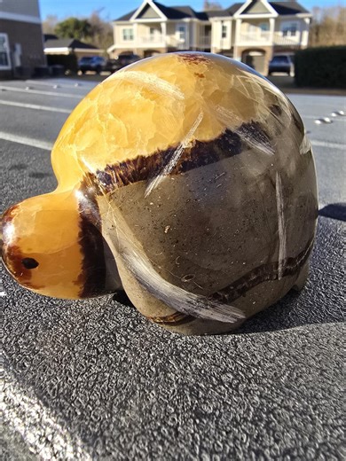 Large Dragon Shell Septarian Stone Turtle Carving 3.86" Long - Etsy