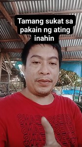 188K views · 8.6K reactions | Feeding program daily consumption sa ating inahin. #backyardhograiser #piggerybusiness #biik #tips #damibiik #trending #ideas #tipsforsuccess #Hograising #procedure #feedfeed #feedingprogram | jefroxz23 hog procedure. | Facebook