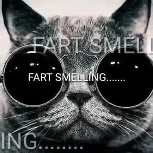 13K views · 474 reactions | Gaming Time on Reels | Facebook