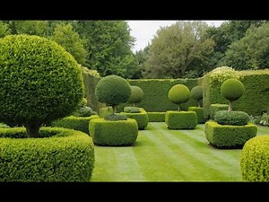 Sculpt Your Garden: The Basics of Topiary for Beginners