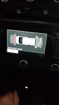 RNS 315 rear view camera low coding VCDS
