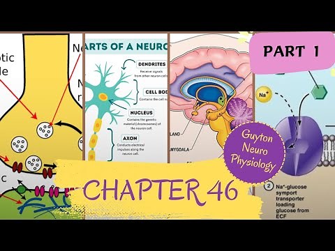 Chapter 46 Physiology Guyton Part 1