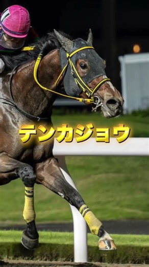 G1チャンピオンズカップの穴馬を3頭紹介＃競馬＃競馬予想＃サンライズジパング＃テンカジョウ＃ラムジェット