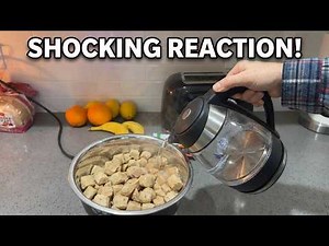 We Tested Nutra Complete Dog Food | Here's What Happened