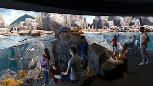 Galápagos Islands, The Houston Zoo