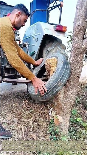 Tractor vs. Tree: When Friction Loses to Rooted Strength