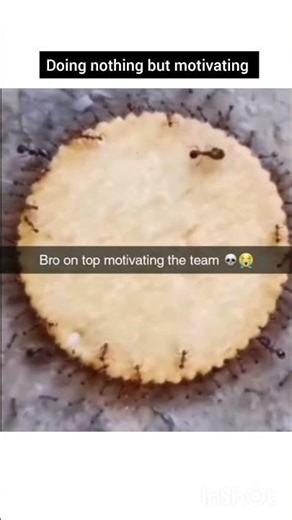 because motivation is necessary 🐜🐜