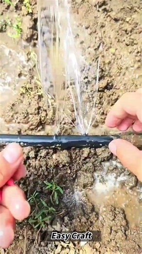 Simple Method for Fixing Holes in Plastic Irrigation Tubing