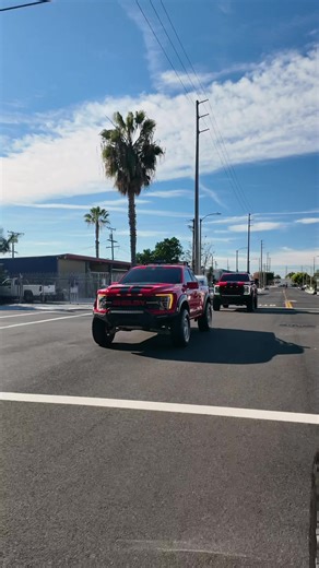 Exploring Fine Line Performance with Shelby Vehicles