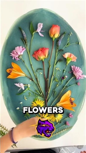 200 Year Old Art of "Sun Printing" ☀️💙