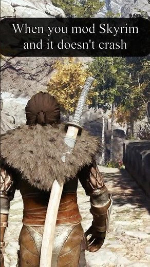 The Skyrim Modding Experience in a Nutshell #skyrim #memes #skyrimmods #shorts #gamtng #gaming