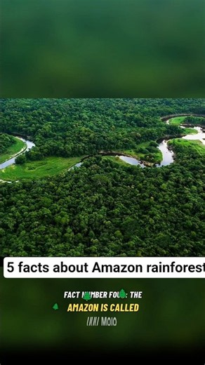 5 Amazing Amazon Rainforest Facts You Won’t Believe! 🌳🦜 | Secrets of the Amazon Jungle