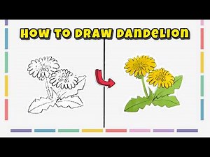 How to Draw a Dandelion – Beautiful Flower Drawing Tutorial