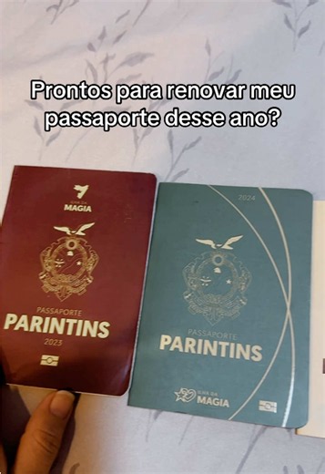 Renovar passaporte 2026: como se preparar passo a passo