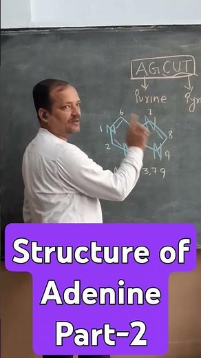 What is Adenine|| Structure of Adenine|| Structure of DNA||