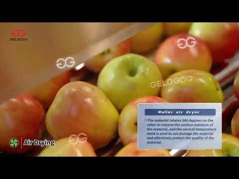 Apple Washing Sorting Production Line