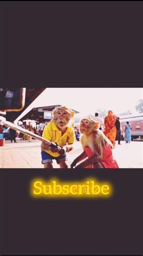 #bacchon #cartoon #cat kids cartoon # subscribe kids cartoon # new viral video #bacchon