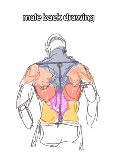 Doodle Anatomy: Male Back Drawing Process
