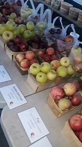 📣 Mrowka Family Farm has 22 different varieties of apples!🍏🍎 | East Aurora Farmers Market