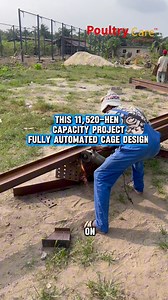 25K views · 299 reactions | Project Update: 11,520-Bird Capacity...