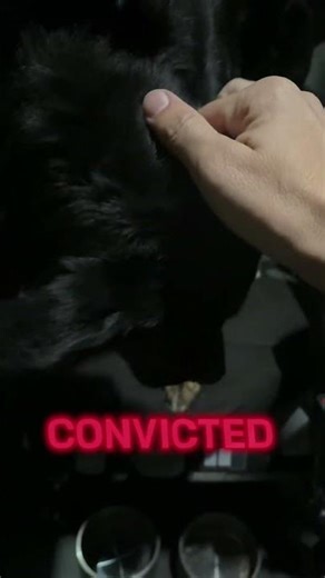 Terminus #history #historyfacts #dog #roadto10k #roadto100k #foryou #fyp #fypシ #fypシ゚viral #fy