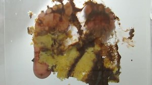 Barefoot Cake Crush - Male Content