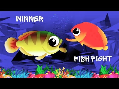 Fish Fight | Underwater Fight | Aquatic Battle | Fish Eats Fish