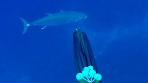 5.1K views · 77 reactions | TONGA TOUR! ** Spots are all filled, but message us to get involved in the next trip. | Back 2 Basics Adventures | Facebook