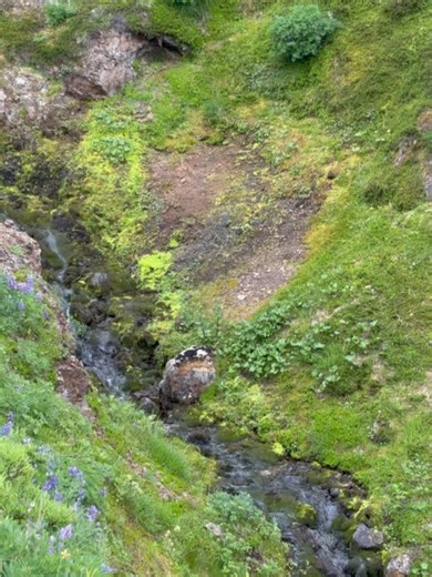 Visit Homer Alaska on Reels