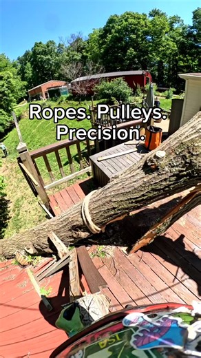 SHULTS on Instagram: "Pulling a Whole Tree Off a House With Pure Rigging"