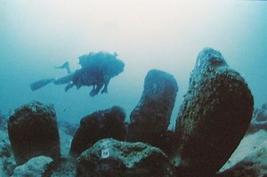 Mengenal Atlit Yam, Permukiman di Bawah Laut Peninggalan Zaman Batu - National Geographic