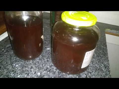 MHRB DMT test brew