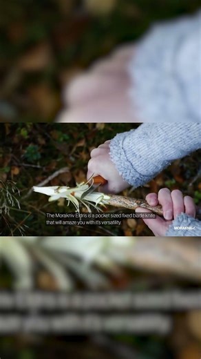 10 Knives to Carry Every Day (2026 Edition)