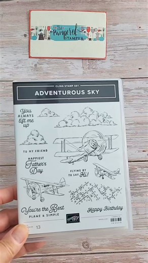 Keep your stamps and dies together in one case but don't forget to do this! #thepamperedstamper #tipsandtricks #stampinupdemonstrator #stampinupcanada #cardmakingsupplies | The Pampered Stamper