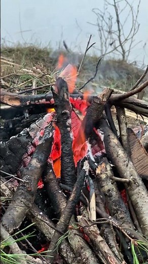 Campfire by the river at cloudy sunset — calm nature vibes 🌫🔥