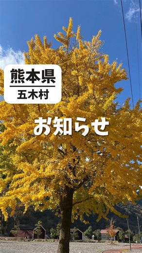 いつき村【五木村公式】｜いつきの魅力全力発信 on Instagram: "秋マップの配布は終了しました🙇 ＠itsukimura.yakuba の他の投稿はこちら 「五木村に行きたい」 「五木村を満喫したい」 そんなフォロワーさんに 五木村の自然やアクティビティを楽しいでほしい そう思い 五木村 紅葉マップを作りました 配布はアカウントのフォロワーさん限定で 3日間限定で終了します ぜひ受け取ってみてね ＿＿＿＿＿＿＿＿＿＿＿＿＿＿＿ このアカウントでは 五木村で知りたい情報がすぐに見つかるをコンセプトに ‎𓌉◯𓇋季節ごとの五木村の旬な情報 ‎𓌉◯𓇋思わずいきたくなるグルメ・スポット紹介 ‎ 𓌉◯𓇋日常を忘れる自然の風景 をお届けしております。 五木村の情報が気になる方はフォローよろしくお願い致します。🙇 ＠itsukimura.yakuba #熊本#熊本観光#熊本旅行#熊本県観光#熊本県#九州#九州旅行#九州観光#五木村#人吉#人吉球磨#球磨郡#秋#マップ