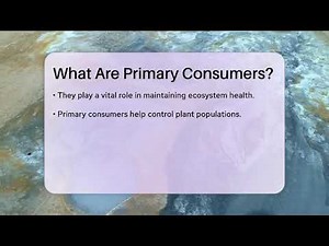 What Are Primary Consumers? - Earth Science Answers