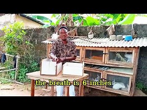 Nesting Box vs Force Feeding Box – Know the Difference!